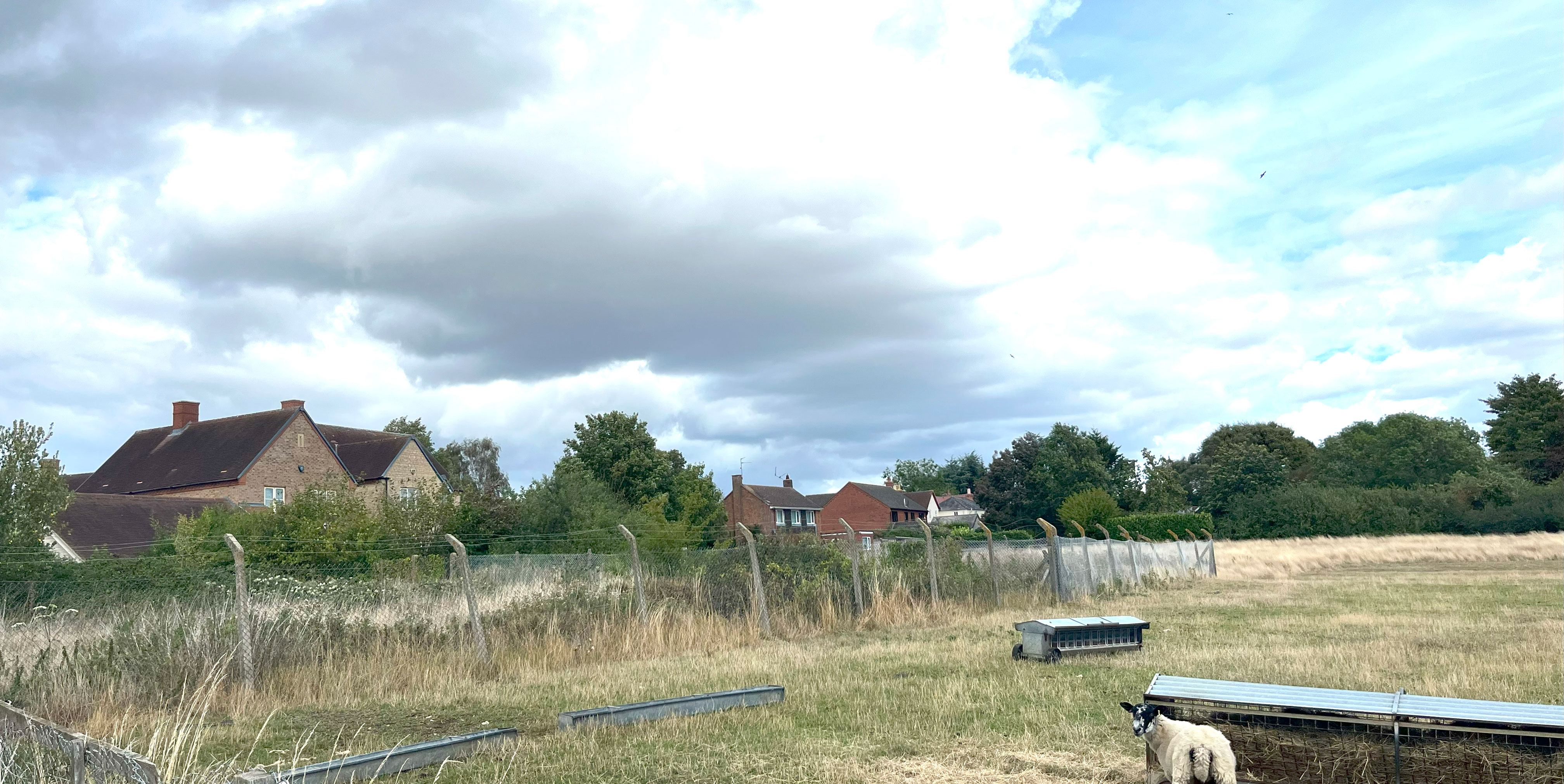 Site Image